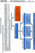 Material Thema Schpfung - Schema